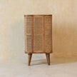 Larissa solid mango wood cabinet next to other furniture in a living space